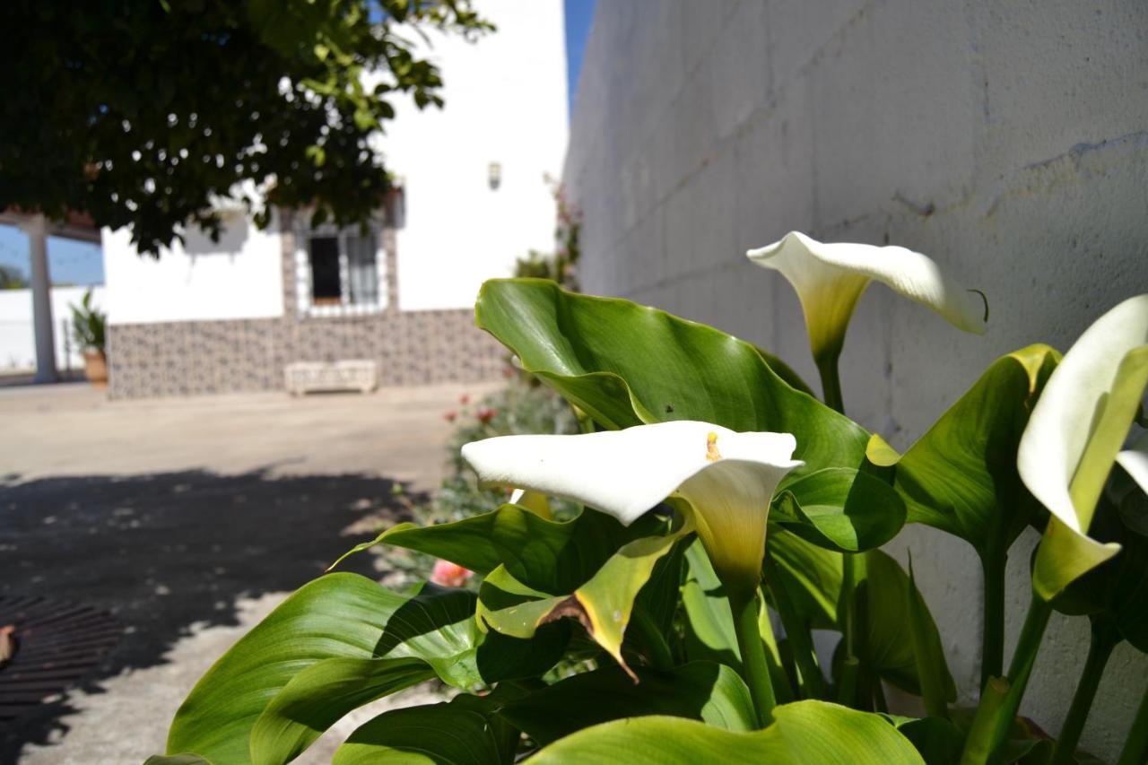 Villa La Orquidea De Córdoba Exterior foto